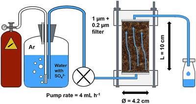 Sulfate Mobility in Fen Peat and Its Impact on the Release of Solutes